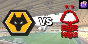 Wolves vs Nottingham phong độ và bối cảnh hiện tại